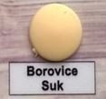Krytka konfirmátu borovice sukatá