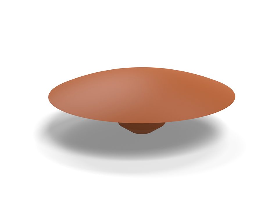 StrongFix krytka excentru třešeň (50 ks)