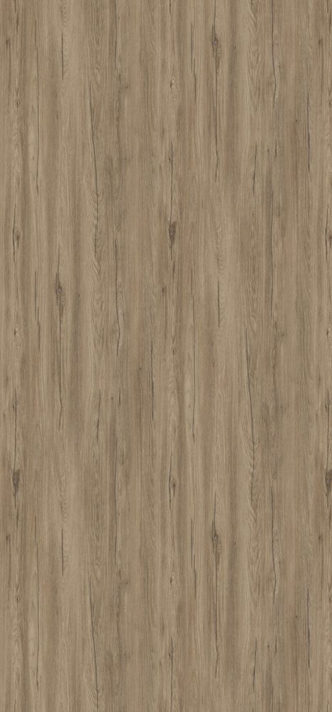 TL K544 Stříbrný dub Hazel 4,2 m