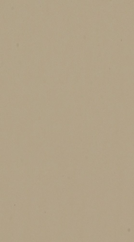 DTL FENIX 0719 NTM "Bloom" Beige Luxor 2str. 3050/1300/19